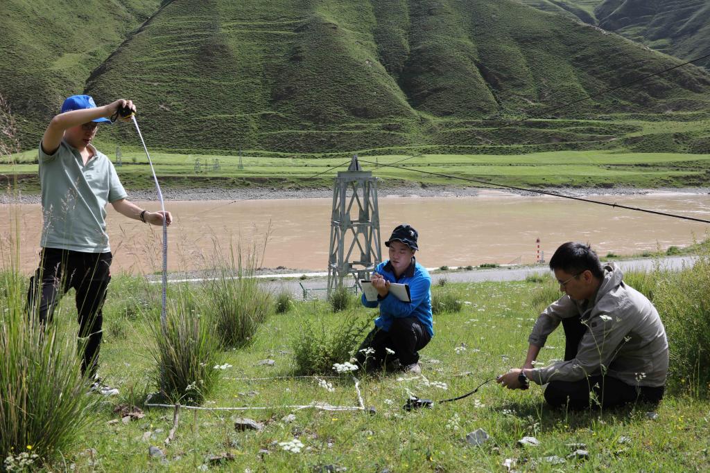 2023年江源綜合科考啟動 聚焦“水土湖草冰”(圖4) 2023年江源綜合科考啟動 聚焦“水土湖草冰”(圖4)