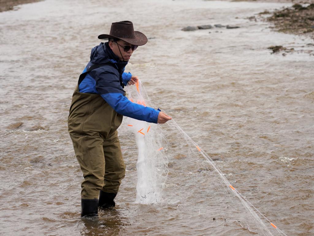 江源科考首次記錄長江南源“第六種魚類”(圖1) 江源科考首次記錄長江南源“第六種魚類”(圖1)