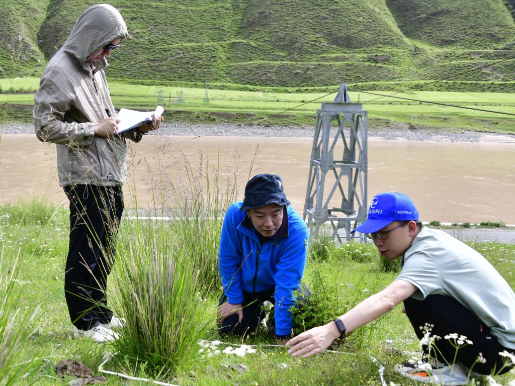 科考模擬試驗(yàn)發(fā)現(xiàn)長(zhǎng)江源區(qū)水土流失風(fēng)險(xiǎn)存在明顯區(qū)域差異(圖1) 科考模擬試驗(yàn)發(fā)現(xiàn)長(zhǎng)江源區(qū)水土流失風(fēng)險(xiǎn)存在明顯區(qū)域差異(圖1)