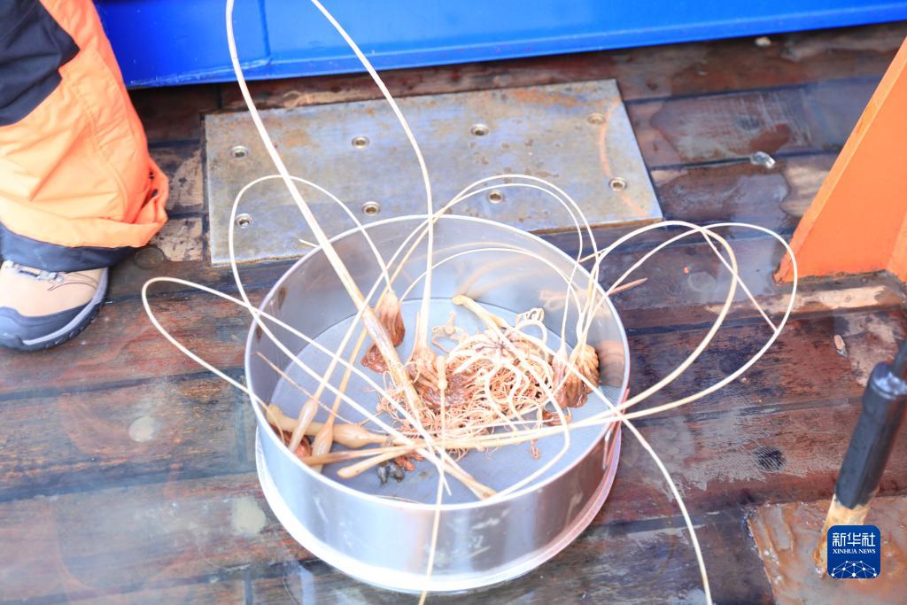 中國第13次北冰洋科學考察隊正式開始大洋科考作業(yè)(圖10) 中國第13次北冰洋科學考察隊正式開始大洋科考作業(yè)(圖10)