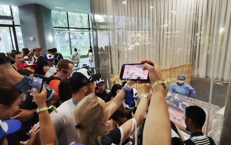 埋下青春友誼的種子 各國運(yùn)動(dòng)員探尋大運(yùn)會(huì)“熊貓情緣”(圖2)