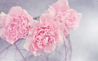 網(wǎng)名叫什么比較好聽 網(wǎng)名叫什么比較好聽男生 網(wǎng)名叫什么比較好聽 網(wǎng)名叫什么比較好聽男生