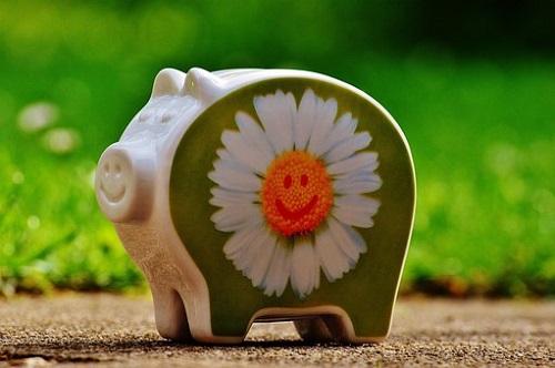 95屬豬女2023年感情運(yùn)勢(shì) 95屬豬女2023年感情運(yùn)勢(shì)