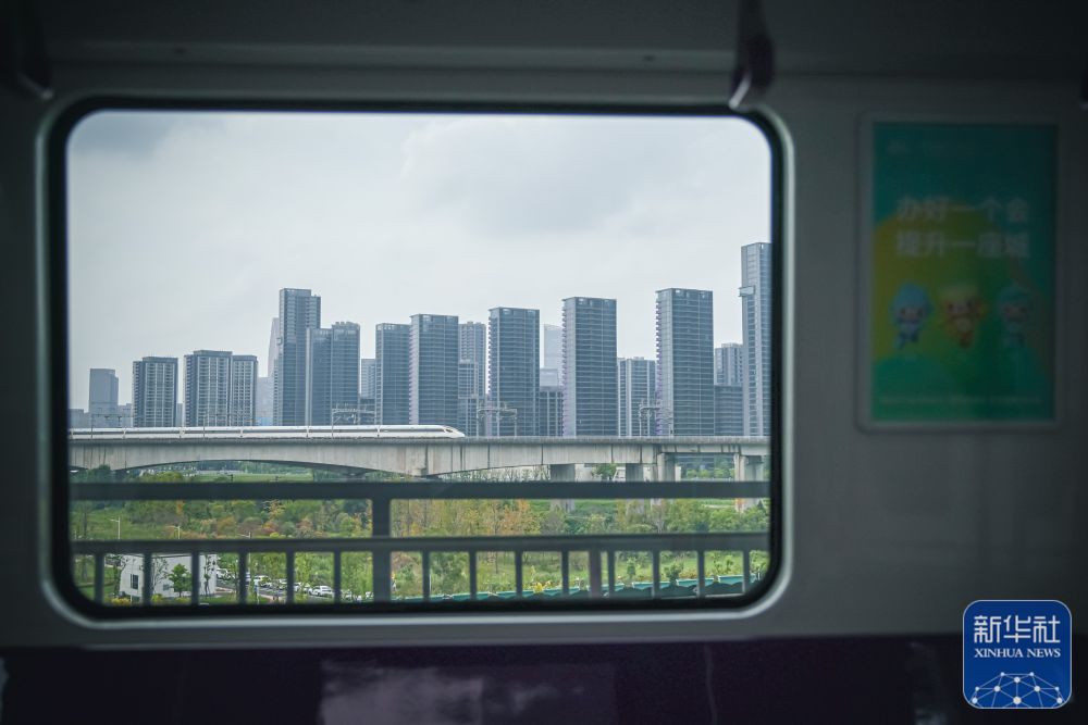 打卡杭州地鐵“亞運號”專列(圖6)