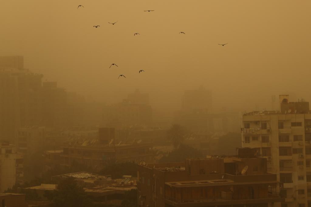 國(guó)際防治沙塵暴大會(huì)呼吁加強(qiáng)國(guó)際合作(圖1) 國(guó)際防治沙塵暴大會(huì)呼吁加強(qiáng)國(guó)際合作(圖1)