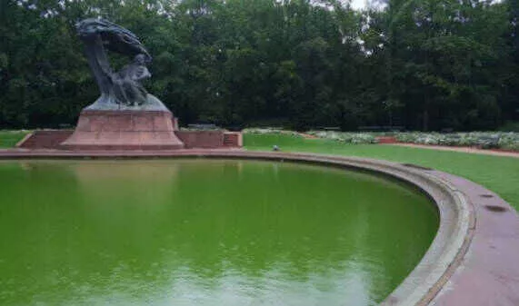 11467275.jpg feac7418ab26b5966a119c61b3d8e36f_16940709703034.jpg