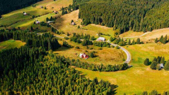 11546299.jpg b15203fd8ef881c7a4dc75759a03e40b_16940709858793.jpg