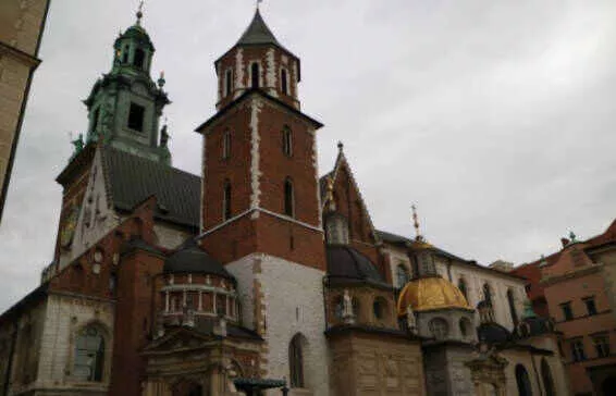 11411880.jpg 595e18141ea10d9e22715a4857dbbf86_16940710025025.jpg