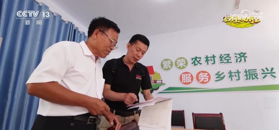 糧食主產(chǎn)區(qū)迎豐收 規(guī)模化經(jīng)營 為好技術(shù)找到用武之地(圖8)