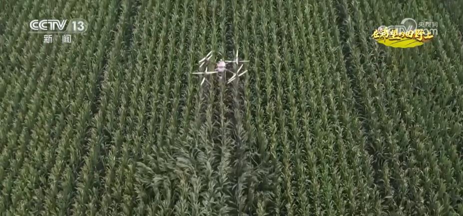 糧食主產(chǎn)區(qū)迎豐收 規(guī)?；?jīng)營 為好技術(shù)找到用武之地(圖4)