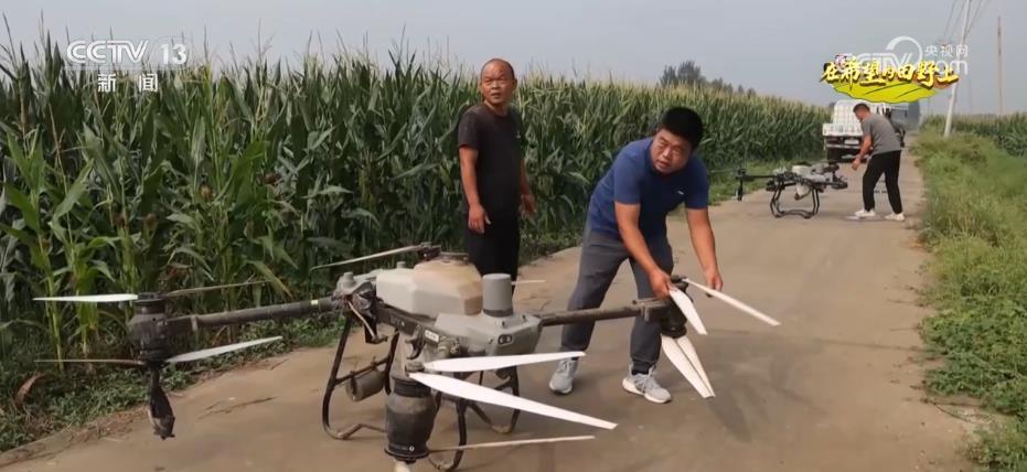 糧食主產(chǎn)區(qū)迎豐收 規(guī)?；?jīng)營 為好技術(shù)找到用武之地(圖3)