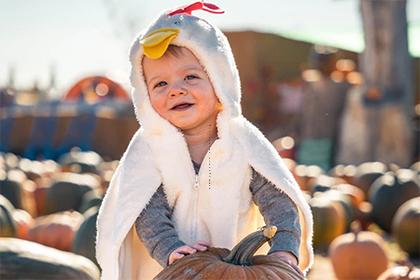 牛年女孩名字帶水帶草 帶水帶草的牛女寶寶名字 牛年女孩名字帶水帶草 帶水帶草的牛女寶寶名字