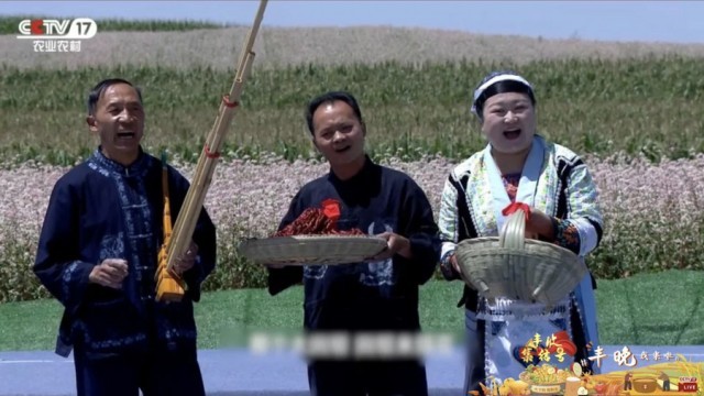 豐晚我來啦！《豐收集結號》探秘你不知道的“非遺”技藝(圖6)