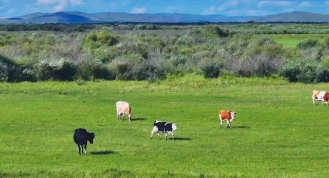 孟非、劉震云組團旅行 帶你領(lǐng)略《非來不可》的大美中國(圖10)