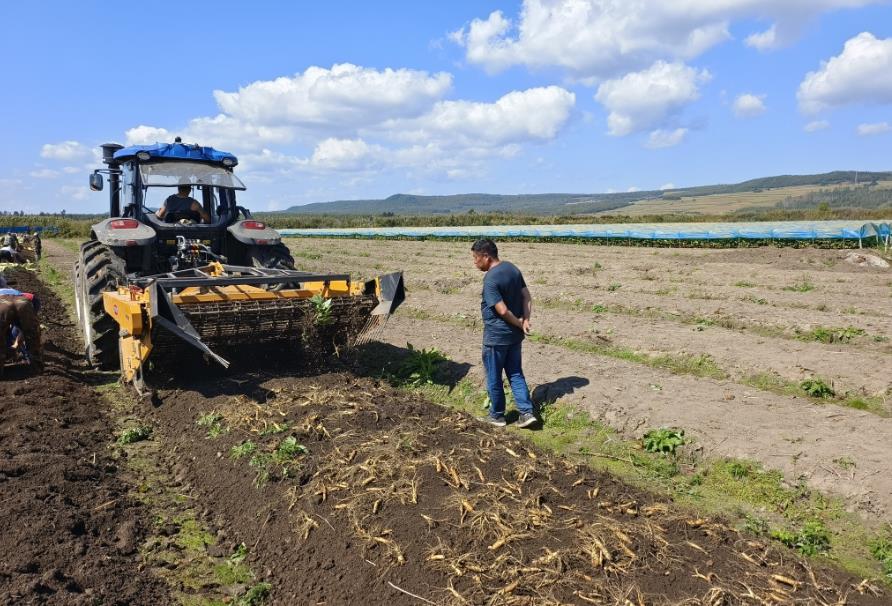 吉林:科技創(chuàng)新推動人參產(chǎn)業(yè)升級(圖1) 吉林:科技創(chuàng)新推動人參產(chǎn)業(yè)升級(圖1)