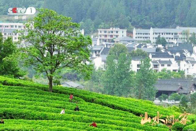 《山水間的家》：千年家風(fēng)助鄉(xiāng)村振興，“老家真好”悟濃濃鄉(xiāng)愁(圖3)