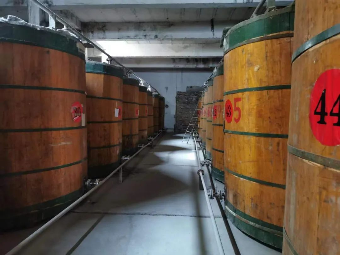 青海省水井巷集團(tuán)周報(2023年第41期)(圖16) 圖片