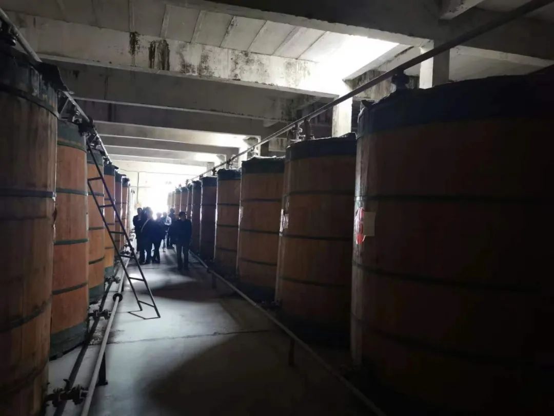 青海省水井巷集團(tuán)周報(2023年第41期)(圖17) 圖片