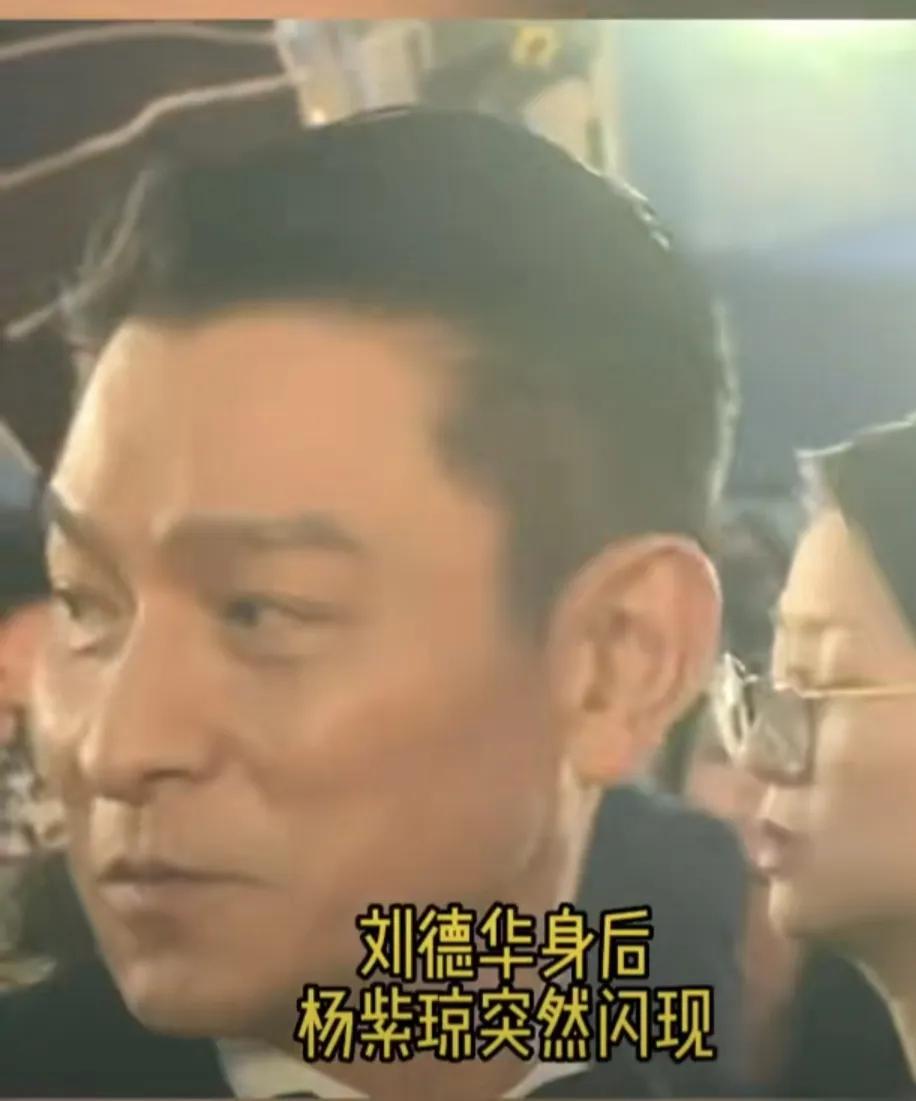 楊紫瓊突然勾肩劉德華，將對(duì)方嚇一跳，華哥透露驚喜消息(圖6)