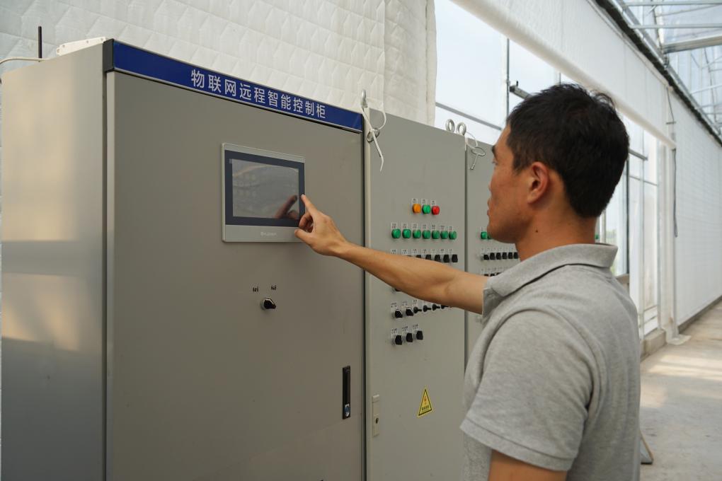 浙江慈溪:“科技創(chuàng)新+數(shù)字化應(yīng)用”助力農(nóng)業(yè)現(xiàn)代化(圖2) 浙江慈溪:“科技創(chuàng)新+數(shù)字化應(yīng)用”助力農(nóng)業(yè)現(xiàn)代化(圖2)