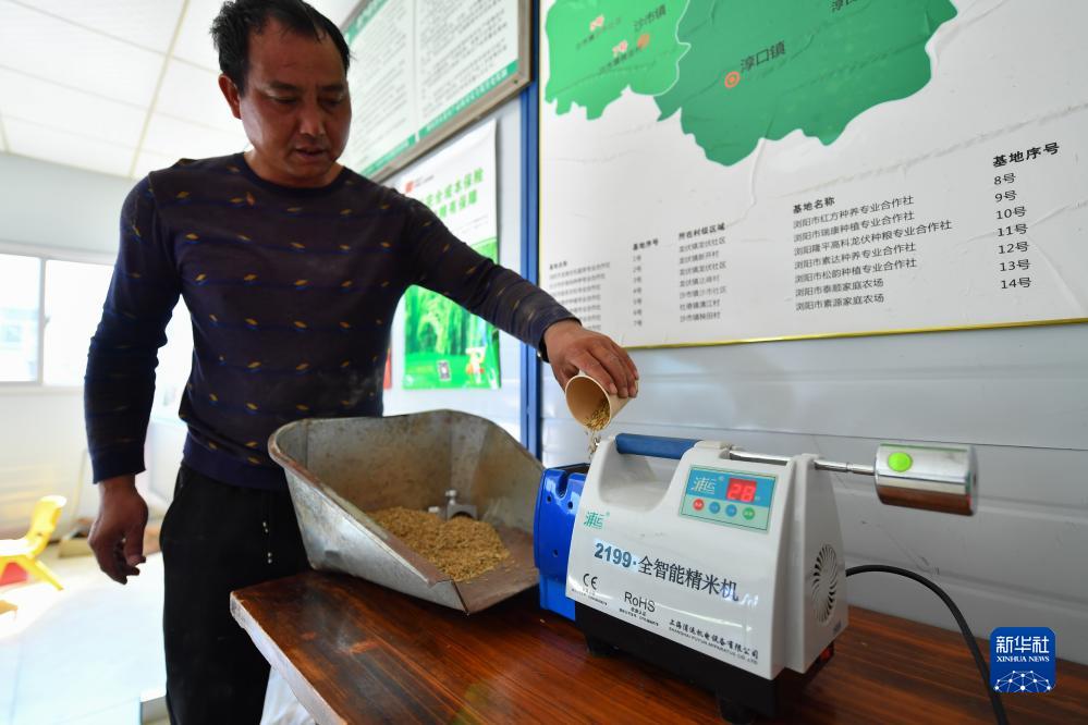 湖南瀏陽(yáng)：科技助力秋糧歸倉(cāng)(圖3)