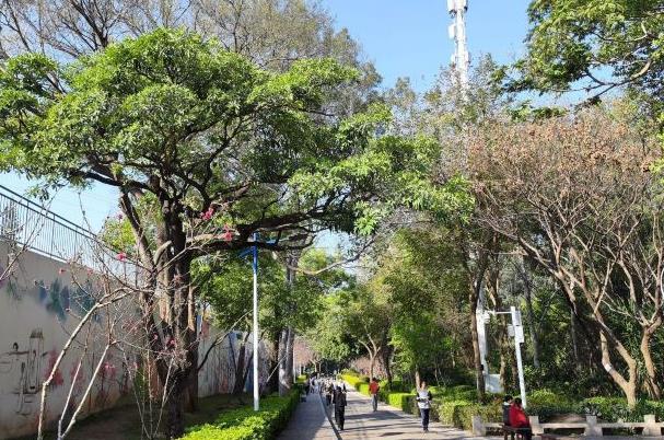 廈門(mén)適合帶孩子去玩的地方推薦