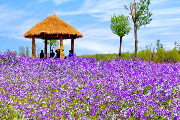 濟(jì)寧一日游最佳去處 濟(jì)寧一日游最佳去處