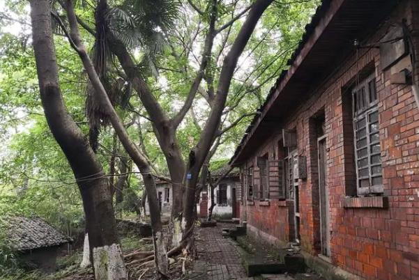 重慶踏青郊游的地方有哪些好玩 重慶踏青郊游的地方有哪些好玩