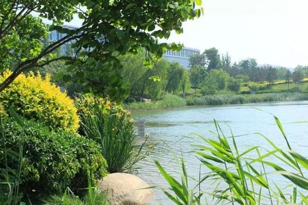 濟寧網(wǎng)紅打卡景點有哪些 濟寧網(wǎng)紅打卡景點有哪些