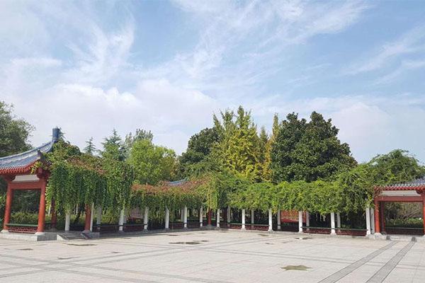 2024隋唐洛陽(yáng)城遺址植物園打鐵花表演時(shí)間