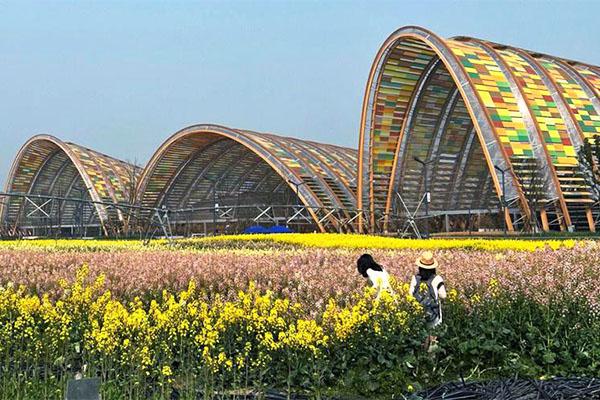 天府農(nóng)業(yè)博覽園油菜花最佳觀賞時間2024 天府農(nóng)業(yè)博覽園油菜花最佳觀賞時間2024