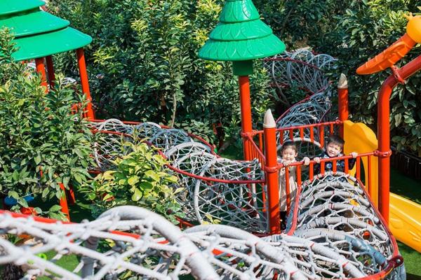 2024成都松鼠部落開放時間 2024成都松鼠部落開放時間