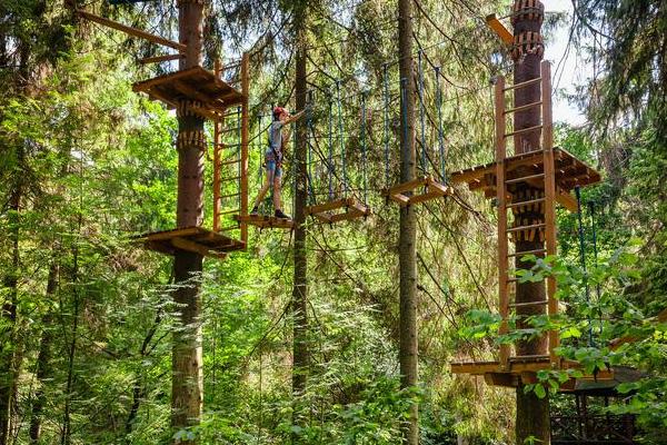 2024成都松鼠部落開放時間 2024成都松鼠部落開放時間