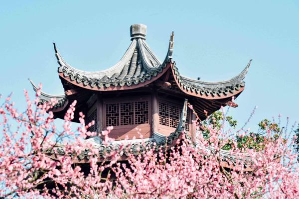 南京梅花節(jié)賞梅景點(diǎn) 南京梅花節(jié)賞梅景點(diǎn)