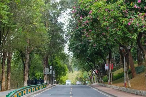 廣州閑逛好去處 哪里適合閑逛 廣州閑逛好去處 哪里適合閑逛