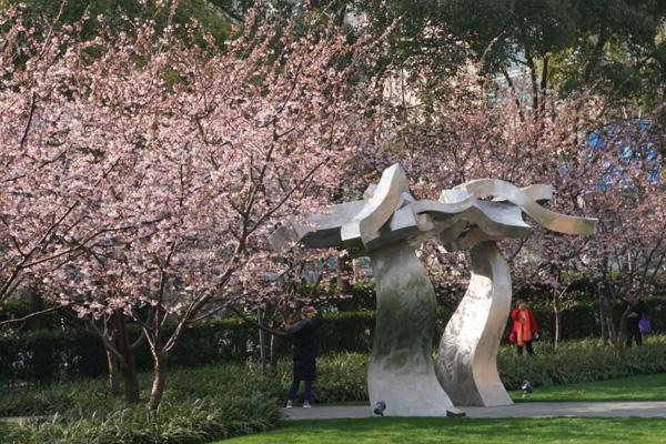 上海哪的櫻花好看 上海哪的櫻花好看