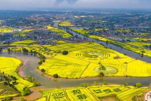 2024年重慶潼南菜花節(jié)什么時候舉行 時間-地點-門票 2024年重慶潼南菜花節(jié)什么時候舉行 時間-地點-門票