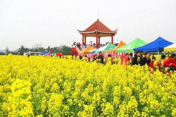 2024重慶潼南油菜花節(jié)門票+時(shí)間+地點(diǎn)+攻略 2024重慶潼南油菜花節(jié)門票+時(shí)間+地點(diǎn)+攻略