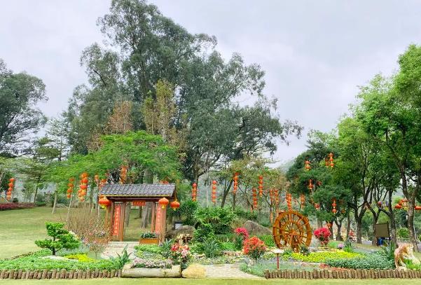 珠海有哪些賞花的地方 珠海有哪些賞花的地方