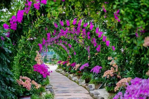 贛州春游賞花去哪兒玩 贛州春游賞花去哪兒玩