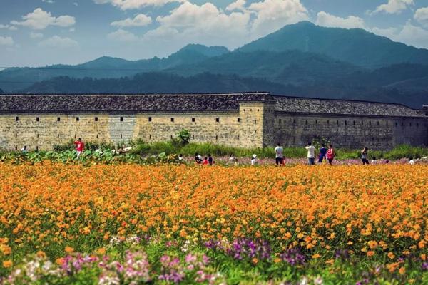 贛州春游賞花去哪兒玩 贛州春游賞花去哪兒玩