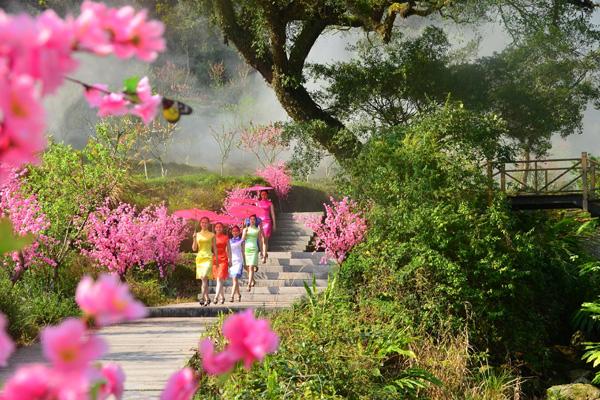 泉州賞花的網(wǎng)紅地點(diǎn)有哪些 泉州賞花的網(wǎng)紅地點(diǎn)有哪些