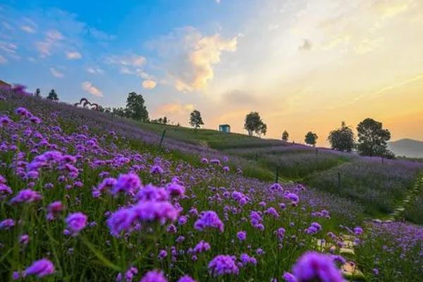 湛江哪個(gè)地方適合家庭游玩