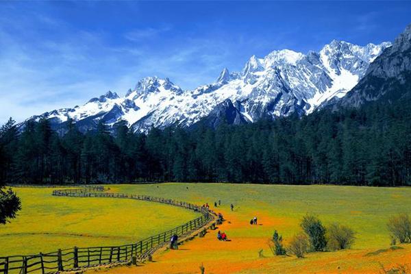 云杉坪門票優(yōu)惠政策最新2024 云杉坪門票優(yōu)惠政策最新2024