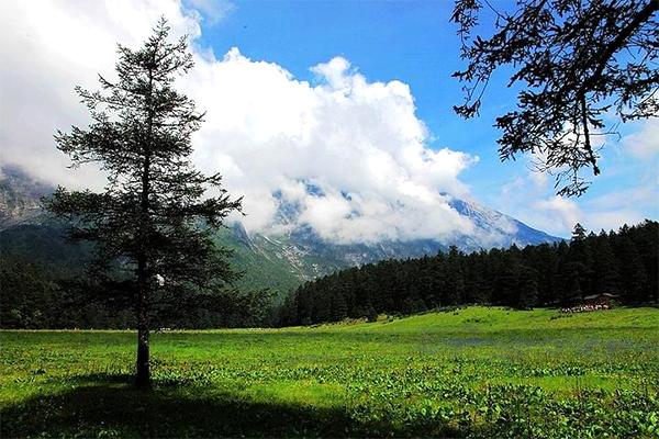 云杉坪門票優(yōu)惠政策最新2024 云杉坪門票優(yōu)惠政策最新2024