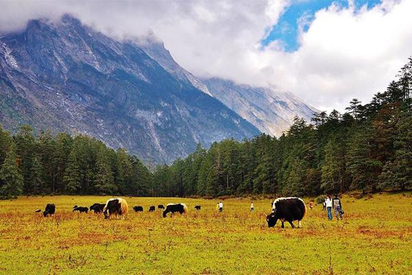 云杉坪門票優(yōu)惠政策最新2024 云杉坪門票優(yōu)惠政策最新2024