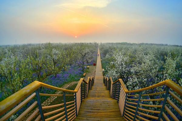 三臺山森林公園門票優(yōu)惠政策2024 三臺山森林公園門票優(yōu)惠政策2024