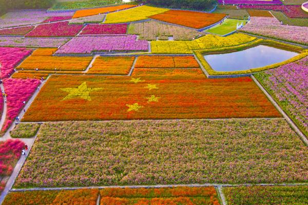 三臺山森林公園門票優(yōu)惠政策2024 三臺山森林公園門票優(yōu)惠政策2024