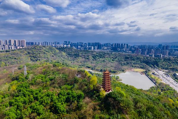 重慶免費(fèi)賞花的好地方有哪些 重慶免費(fèi)賞花的好地方有哪些