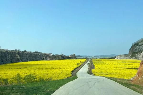 蘇州賞花景點(diǎn)有哪些 蘇州賞花景點(diǎn)有哪些